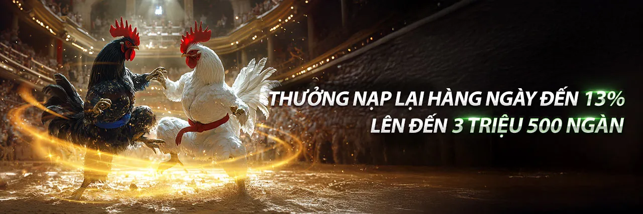 Sân đấu đá gà trực tuyến tại tải vanmay777